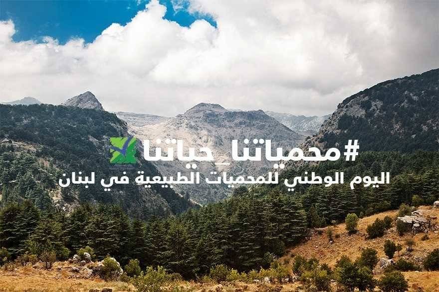 في هذا التاريخ.. أبواب المحميات الطبيعية مفتوحة مجاناً!