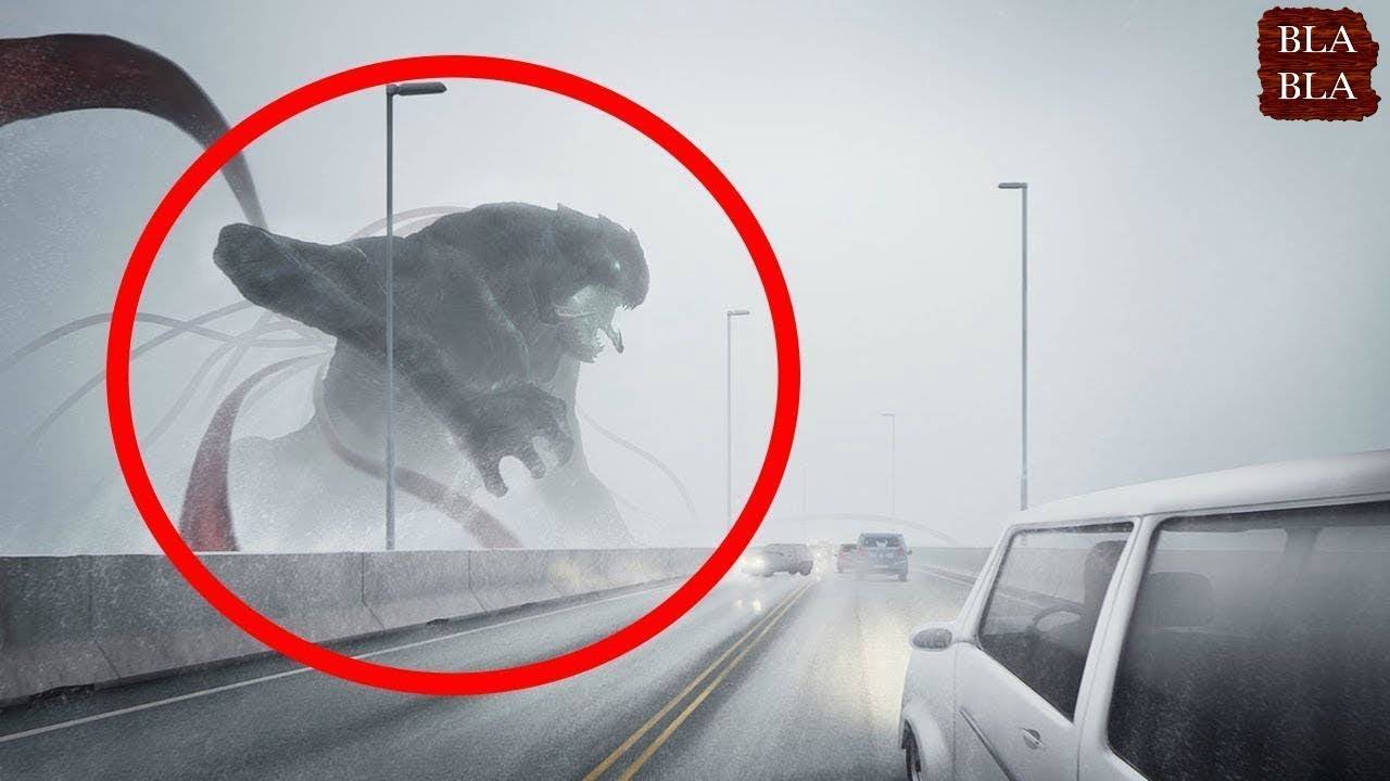 بالفيديو-  وحوش غامضة صورتها عدسات الكاميرا لم يجدو لها تفسير !!