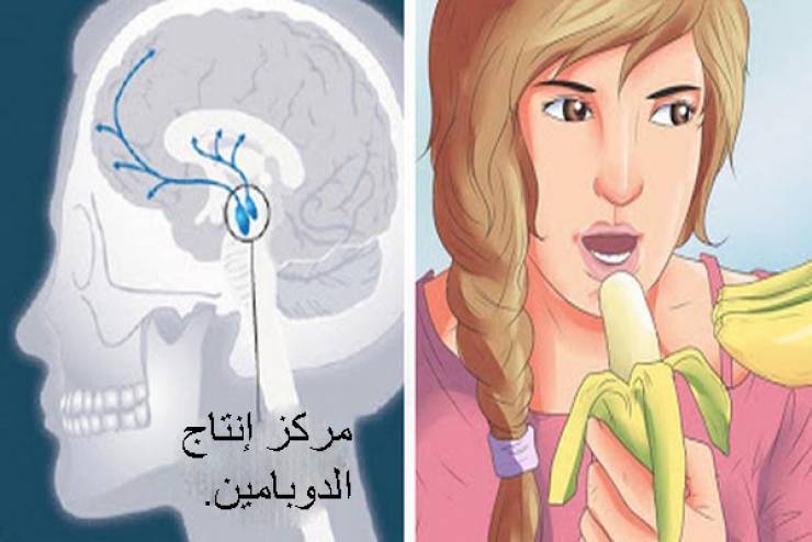 ارفعوا مستوى الدّوبامين كي لا تشعروا بالحزن، التّوتر، أو الكآبة بعد الآن