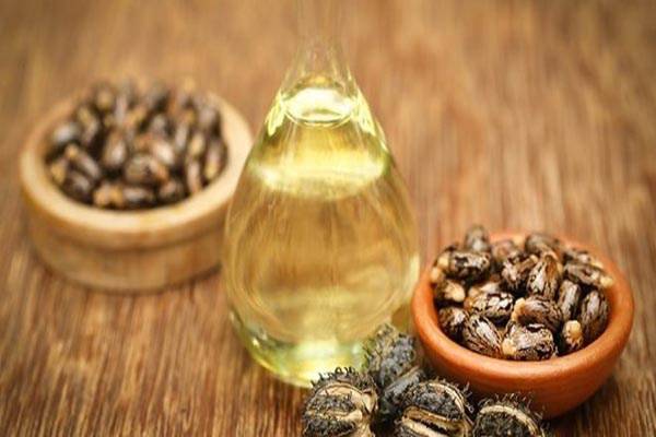 زيت الخروع، هل هو العلاج العالمي الذي نسيه الجميع؟