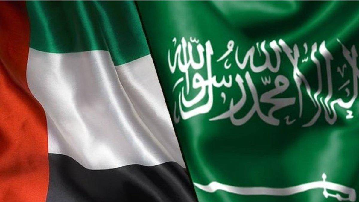 علام تراهن السعودية والامارات؟