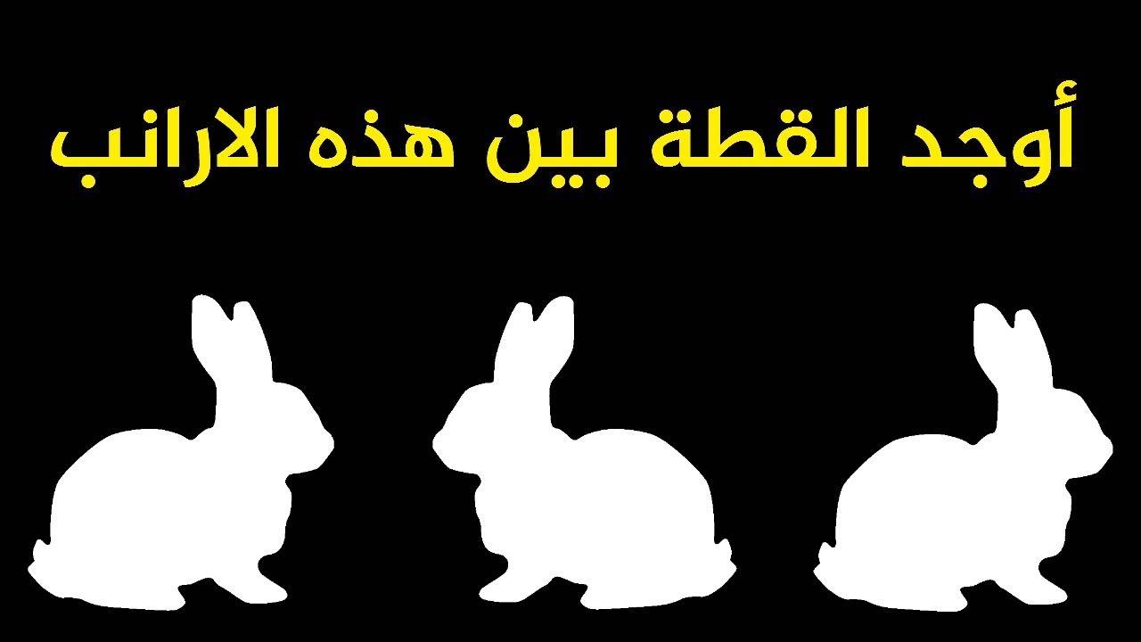 بالفيديو- إذا ستطعت إجتياز هذا الإختبار فأنت شخص معجزة في الذكاء!