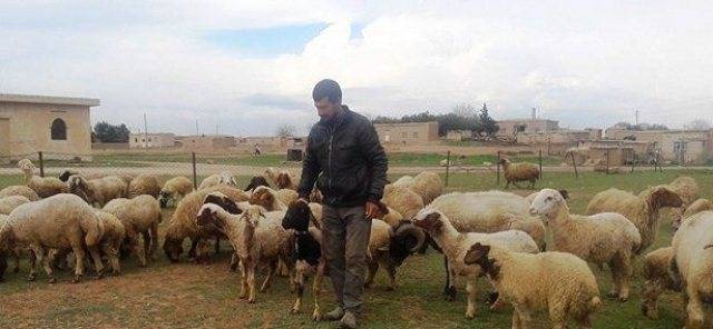 (بالفيديو) شهادات للمدنيين.. حتى الأغنام لم تحتمل ظلم الارهابيين في الغوطة