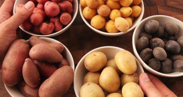 بعد قراءة هذا الخبر.. ستأكلون البطاطا يومياً!