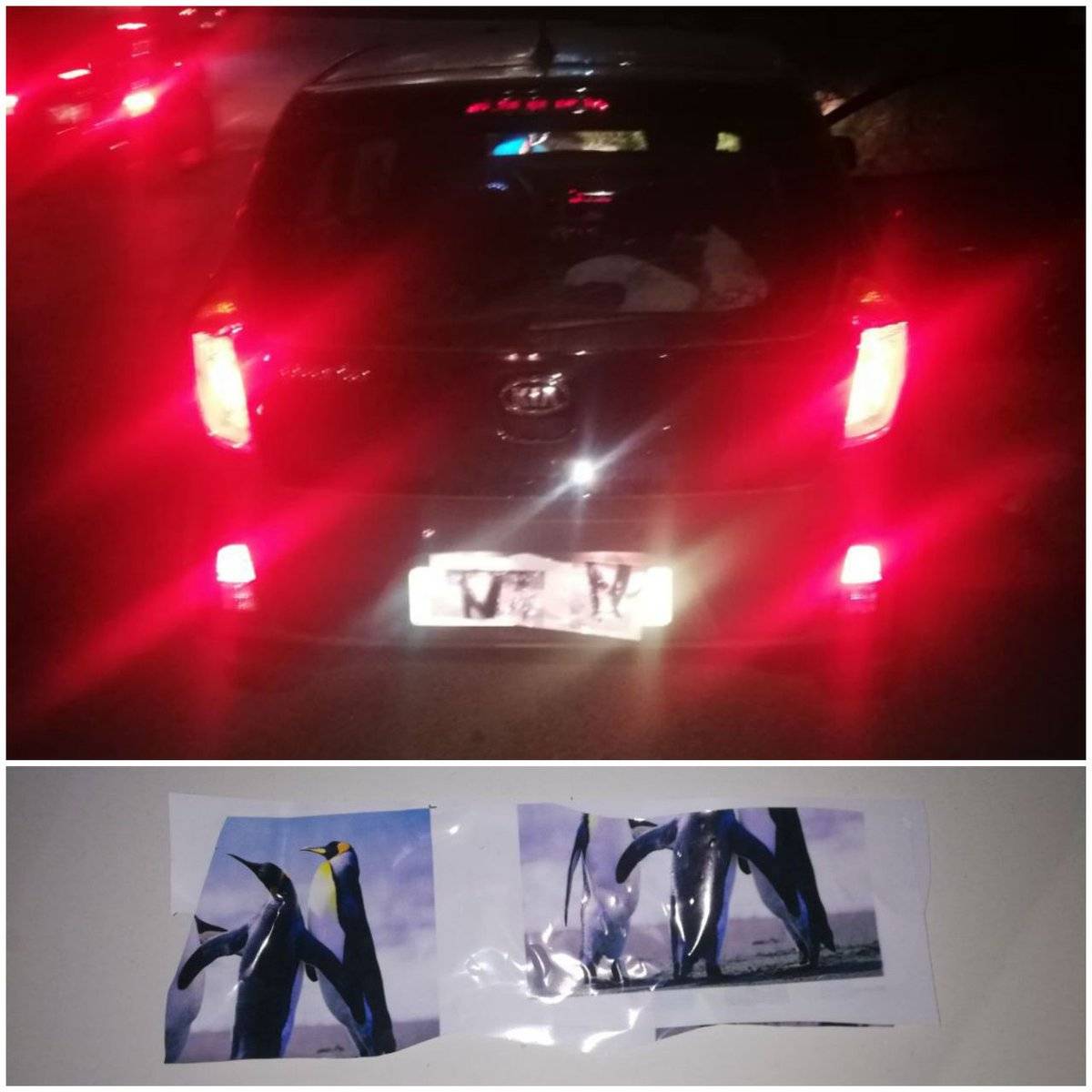 بالصورة: سيارة من القطب الشمالي في لبنان