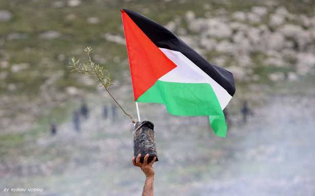 لأول مرة الفلسطينيون يتساوون مع اليهود في العدد..
