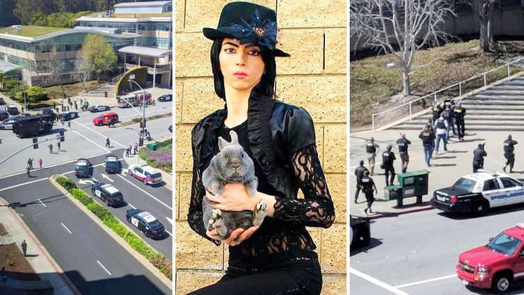 معلومات جديدة وغير مسبوقة عن منفذة الهجوم على "يوتيوب" ودوافعها