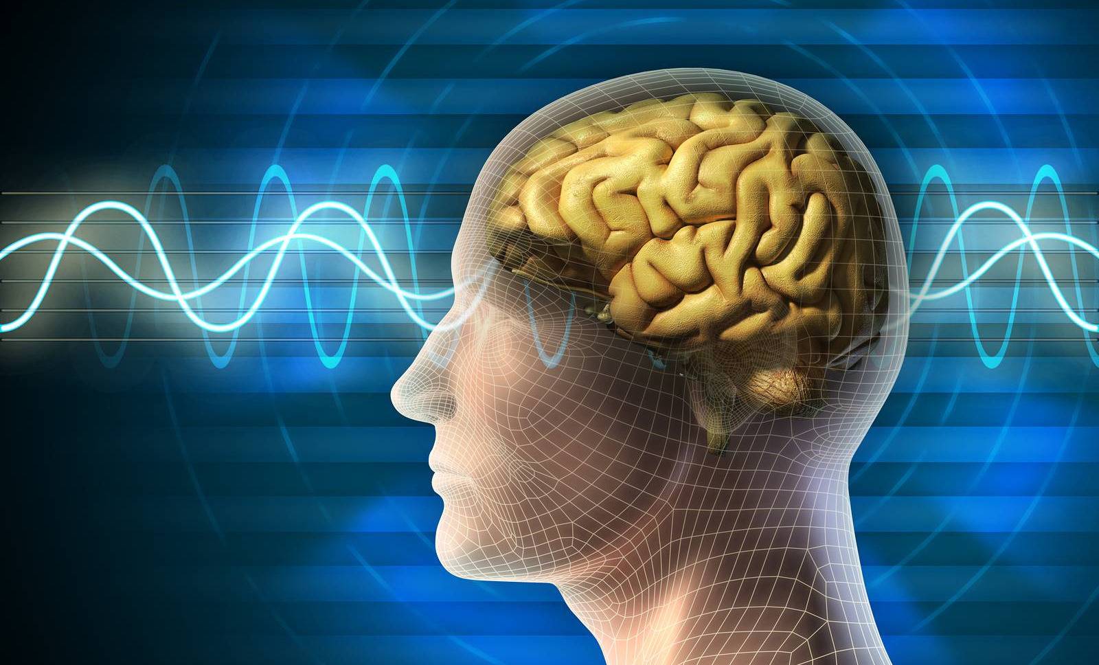 اكتشاف جديد.. المخ "ينتج" خلايا الذاكرة في الـ80