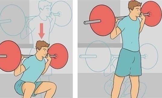 كم من الوقت يستغرق بناء العضلات؟