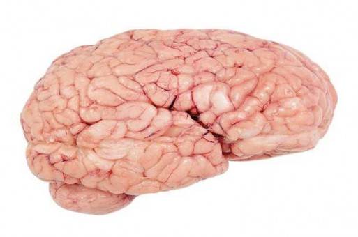 عادات “قاتلة” تدمر خلايا الدماغ