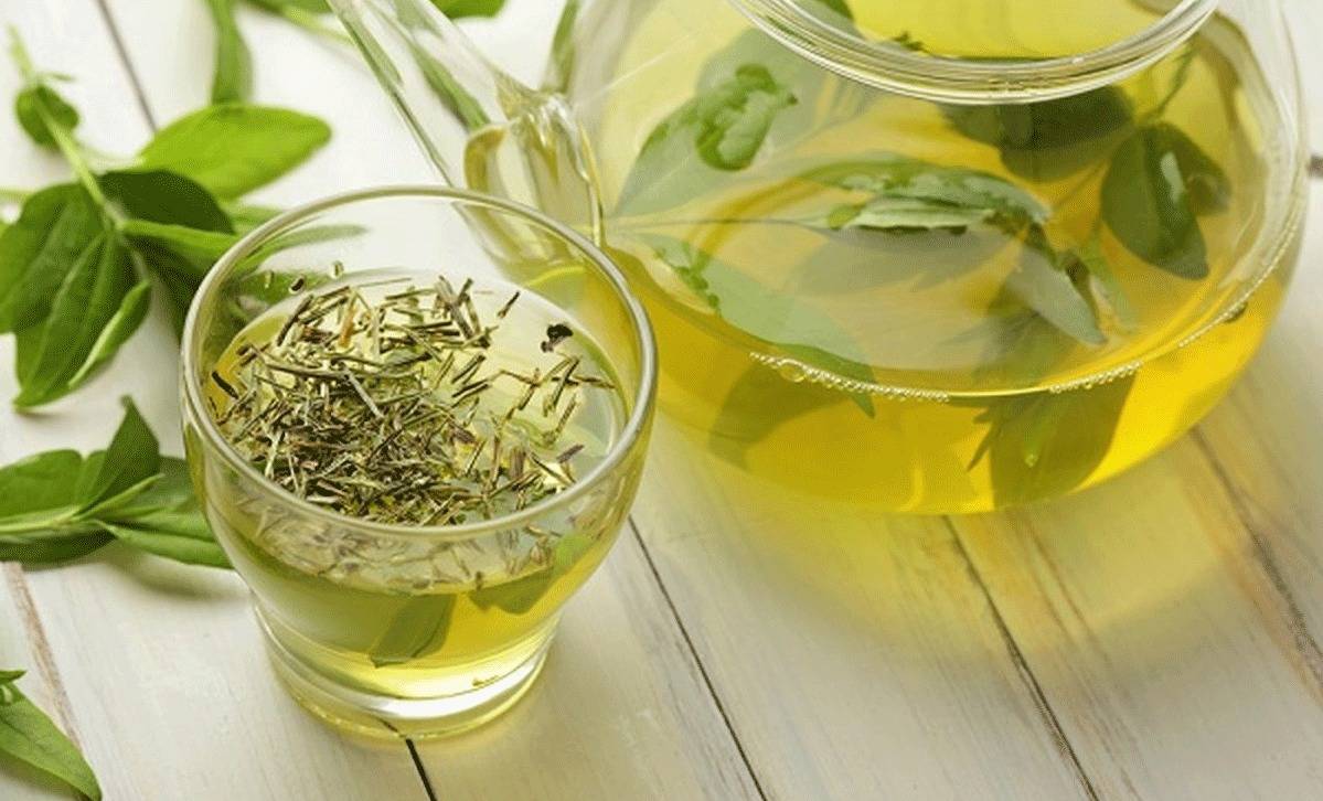 متى يؤدي الشاي الى تليف الكبد؟