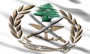 الجيش: تفجير ذخائر في محيط بلدات جنوبية