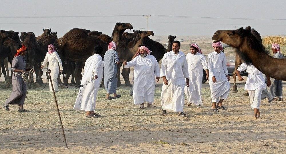 مسؤول سعودي: حاكم قطر يملك إبلا في الأراضي السعودية ولا نضايقها