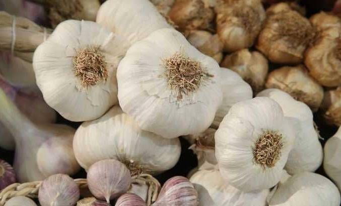 من بينها تخفيض ضغط الدم.. الثوم يقلل خطر الإصابة بـ 3 أمراض خطيرة