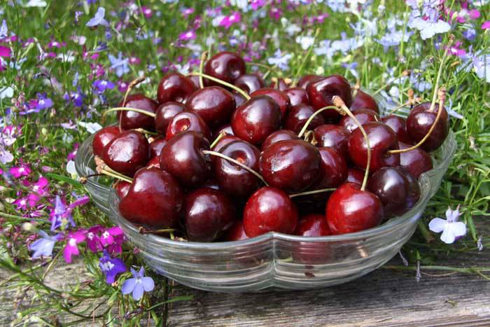 مادة مذهلة في الكرز تحارب السكري…