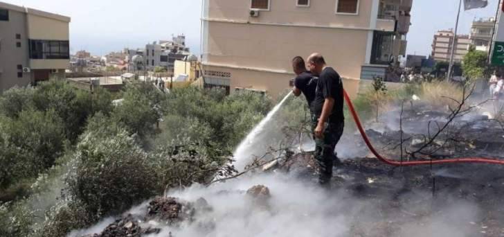 اخماد حريق في بستان أشجار زيتون على طريق عام عبرا جزين