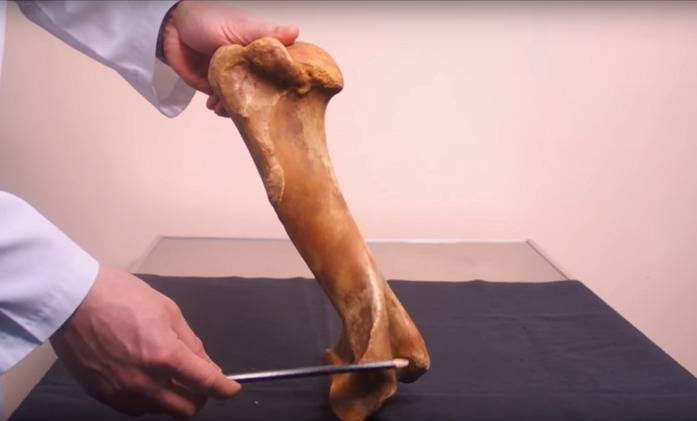 علماء روس يطورون 