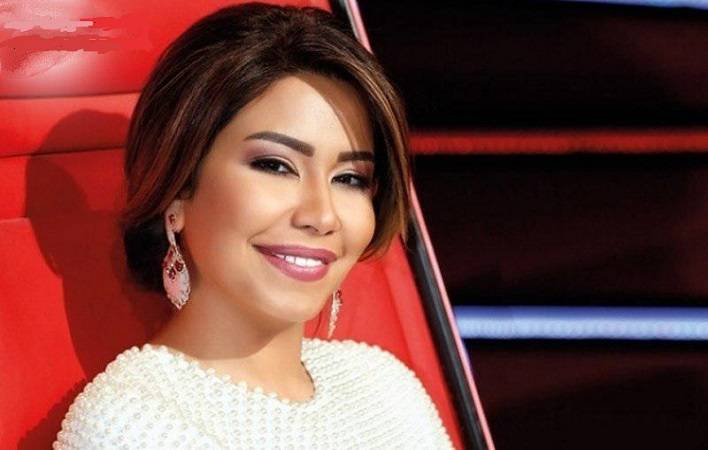 صدور الحكم النهائي في قضية شيرين.. هذا ما قام به المحامي
