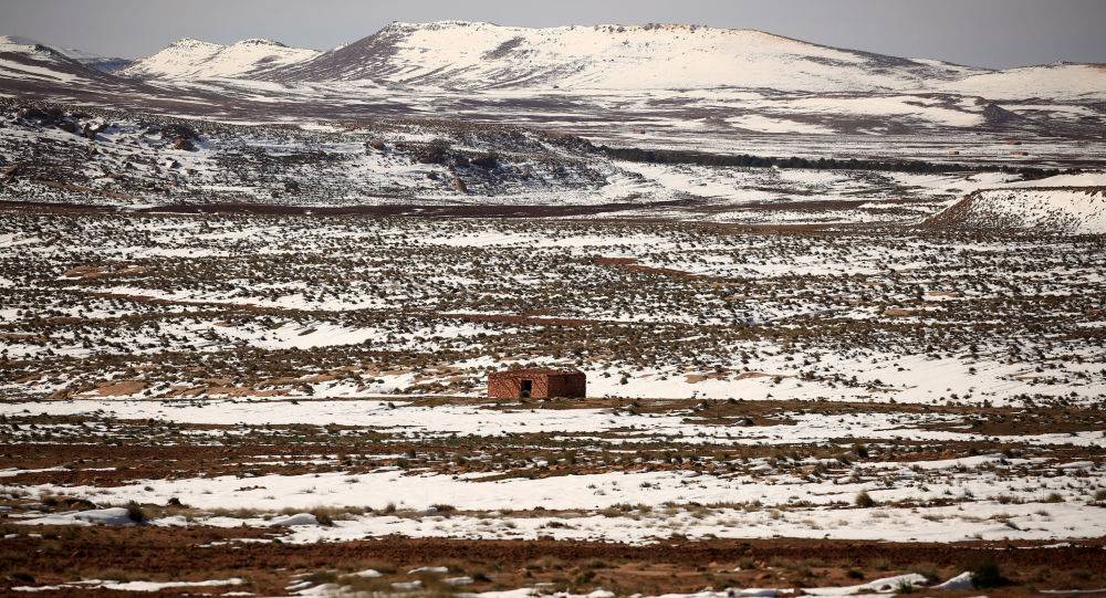 الحكومة الجزائرية تنفي تمليك الأراضي الزراعية للاستثمار الخاص أو للأجانب