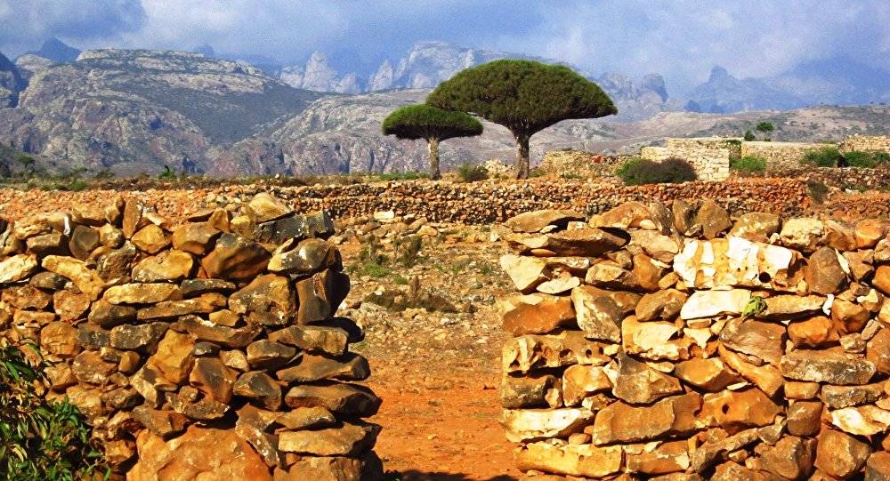 حزب الإصلاح اليمني يأمل من السعودية إيجاد مخرج لأزمة سقطرى
