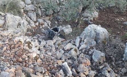 سقوط صاروخ في خراج الهبارية- حاصبيا