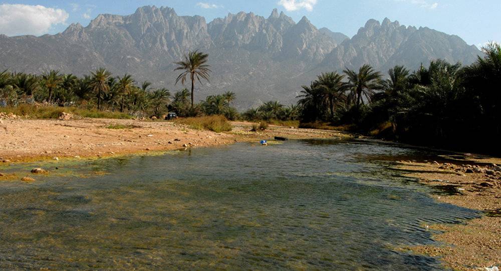 مصدر: وفد سعودي برفقة عسكريين يمنيين يصل جزيرة سقطرى اليوم