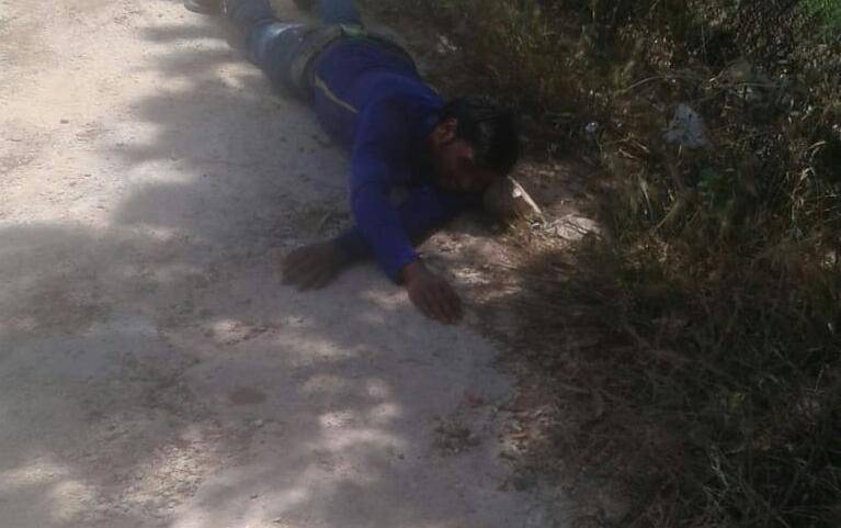خاص بالصور.. 5 جرحى في هجوم كلبٌ شرسٌ على المواطنين في بلدة ميفدون بالنبطية