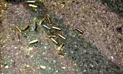 بالصور.. مجهولون أطلقوا 60 طلقة عشوائية في حارة الناعمة