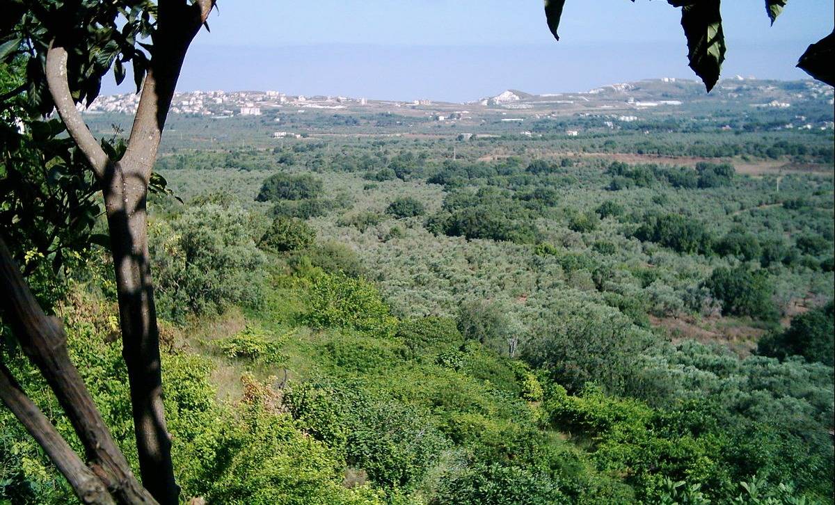 إخماد حريق في إحد البيوت المجهزة في قضاء الكورة