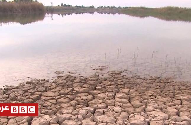جفاف نهر دجلة في جنوب العراق قد يصل قريبا إلى بغداد