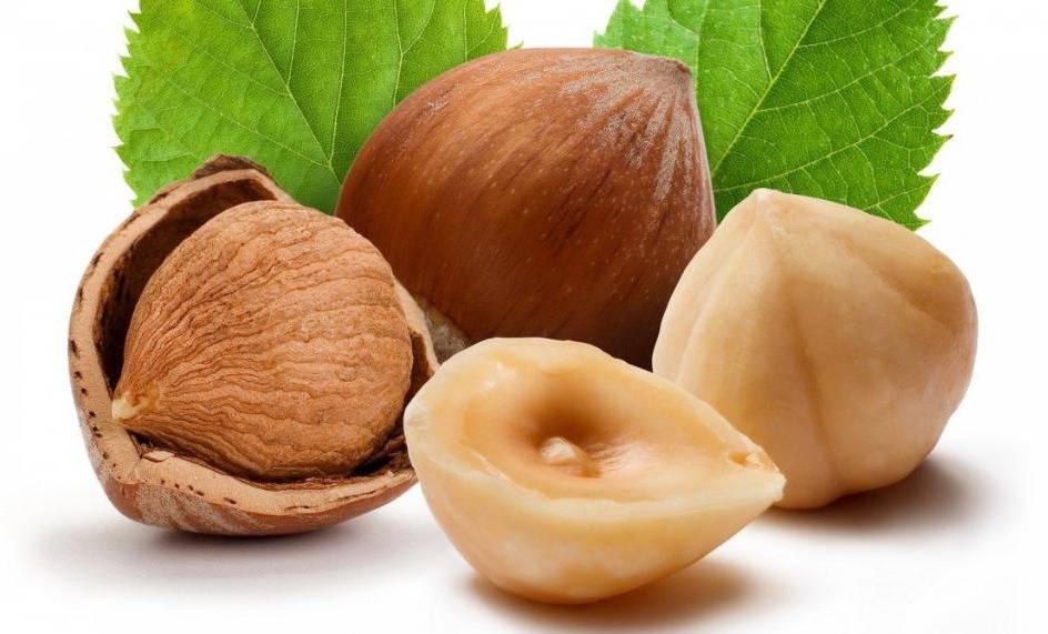 عليكم بالبندق.. الخيار الأمثل لوجباتكم الخفيفة!