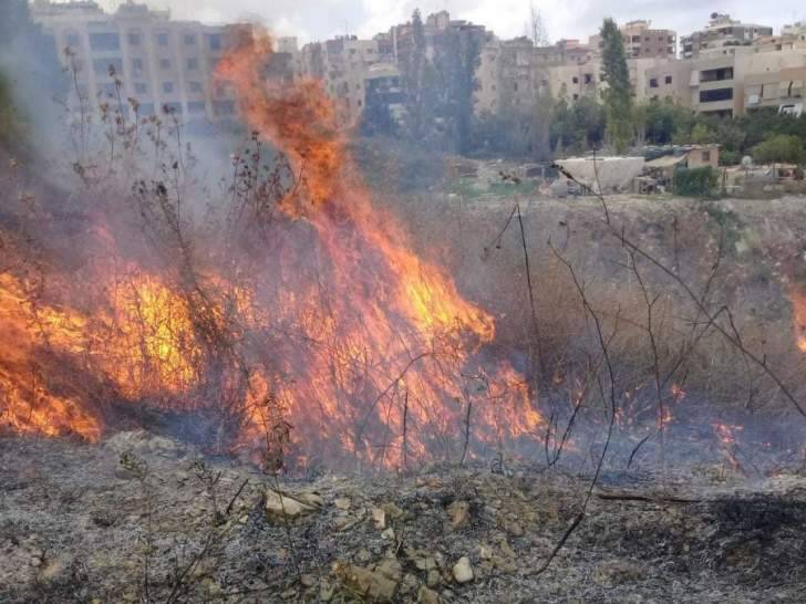 اخماد حريق شب في حقل في صيدا