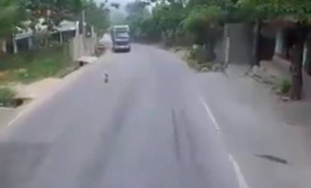فيديو مرعب.. طفل يتسلّل إلى طريق مليء بالشاحنات!
