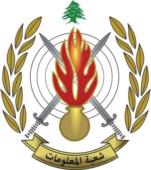 شعبة المعلومات تضبط 3 ملايين حبة كبتاغون وطن ونصف من الحشيشة بين خلدة وبرج حمود