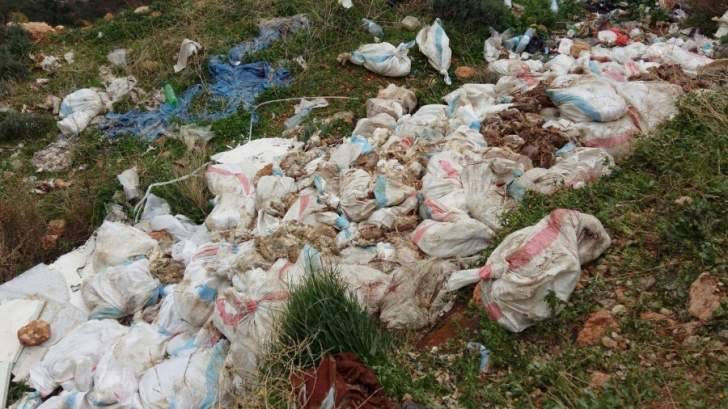 مجهولون رموا اكياسا محملة بطيور الدجاج النافقة في ضهور الحسين