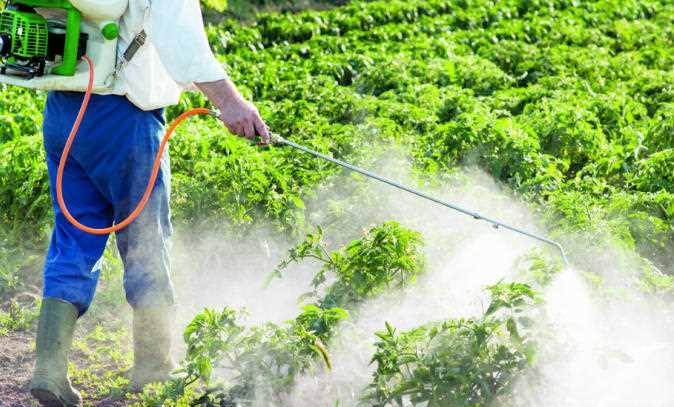 تنبّهوا الى هذه المخاطر الكبيرة لاستنشاق مبيدات الحشرات
