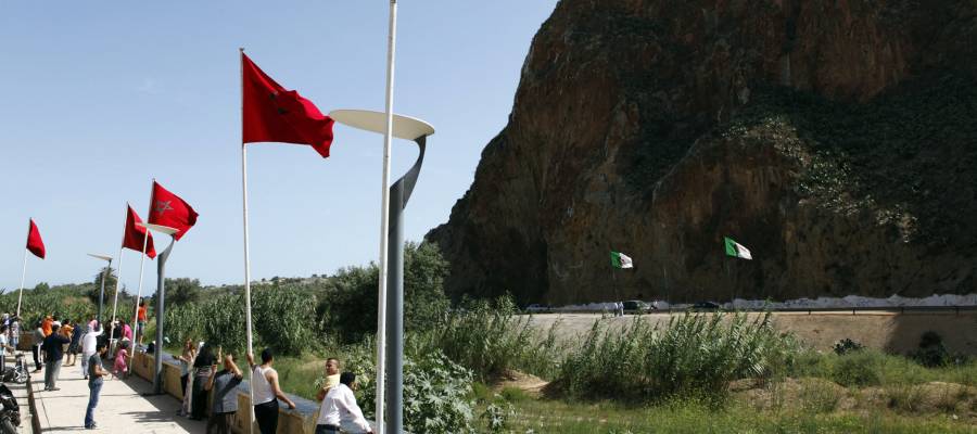 "متصالحين، وافتحوا الحدود".. نشطاء يقودون "أكبر حملة" مصالحة بين المغرب والجزائر بعد "تصويت المونديال"