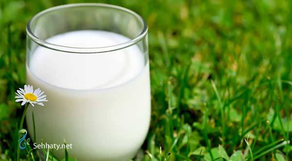 توقفوا عن شرب الحليب قليل الدسم فهو غير صحي