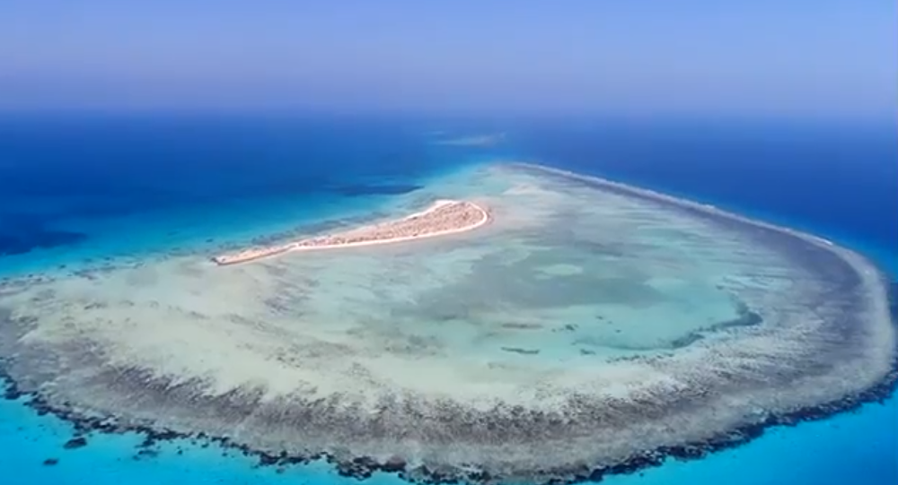قطر وتركيا تنشئان قاعدة عسكرية بالسودان