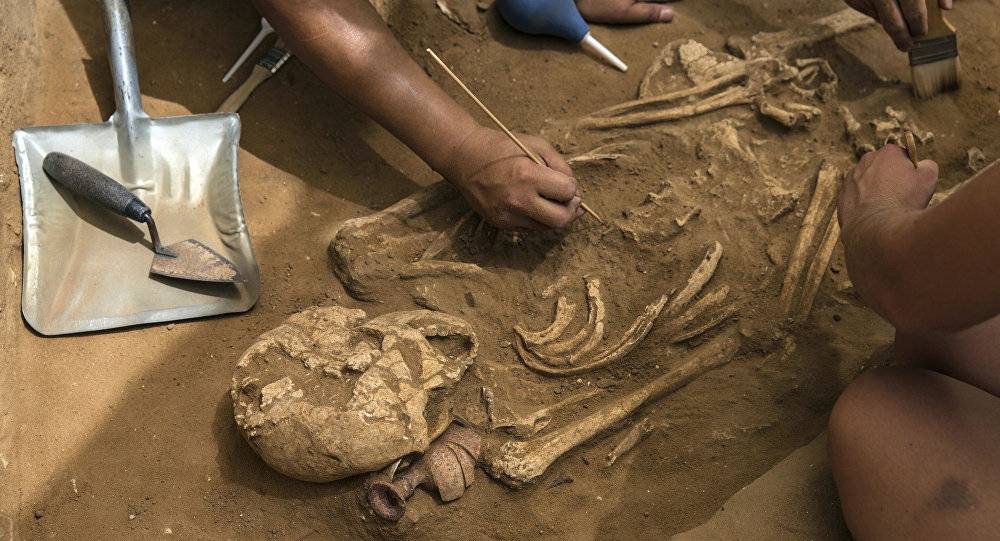 اكتشاف بقايا مستوطنة بشرية في أبوظبي يعود تاريخها لنحو 8 آلاف عام