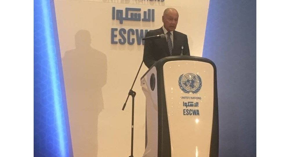 أبو الغيط يؤكد أهمية تعزيز التعاون مع "الإسكوا" في مختلف المجالات