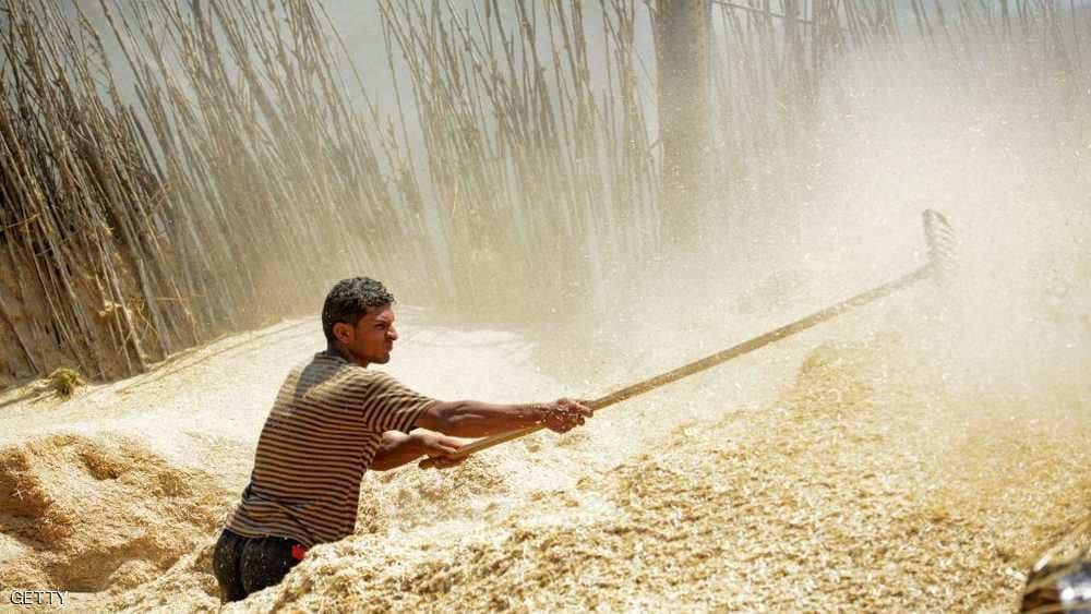 مصر.. استثمار أوكراني ضخم في 