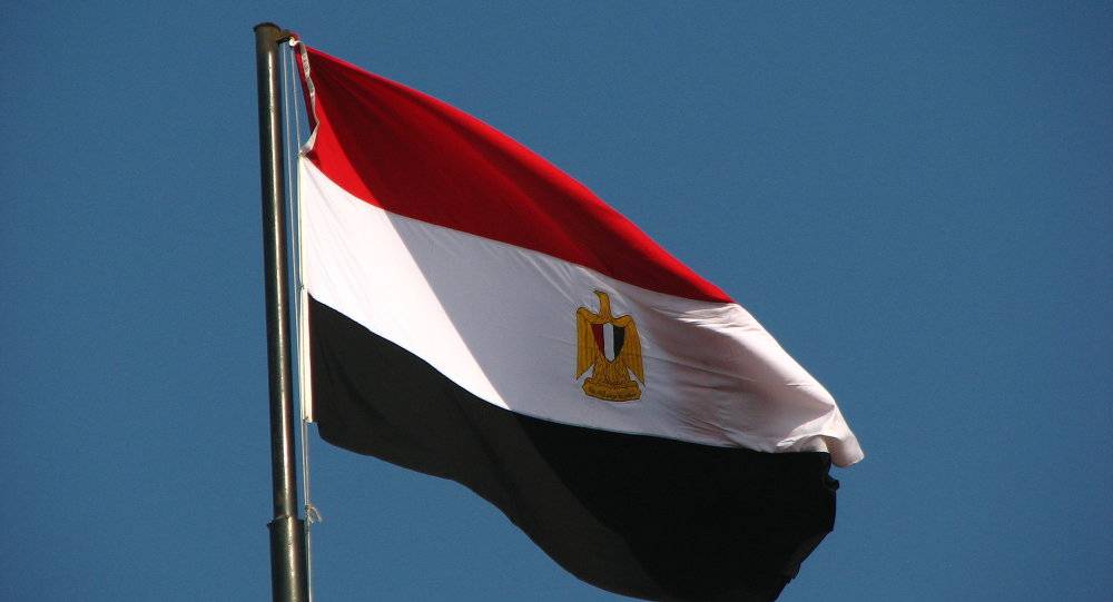 وزير مصري: ثورة حزيران دمرت مخطط داعمي الإرهاب ضد مصر