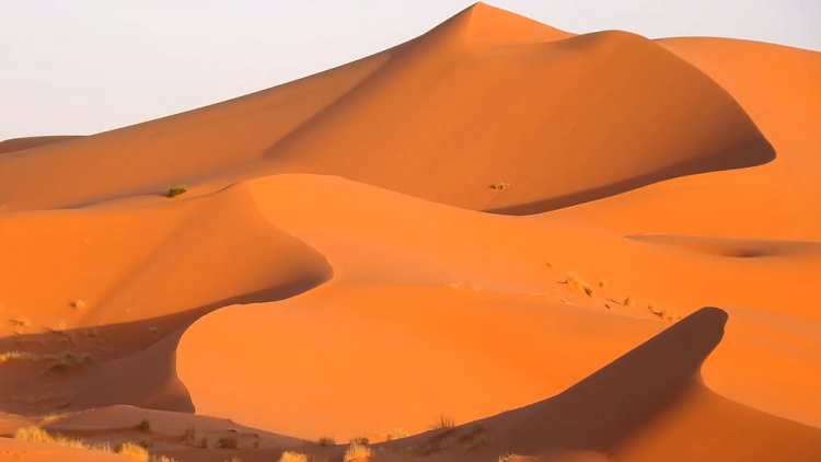 الصين تحول صحارى عربية إلى ربوع خضراء! (صورة)