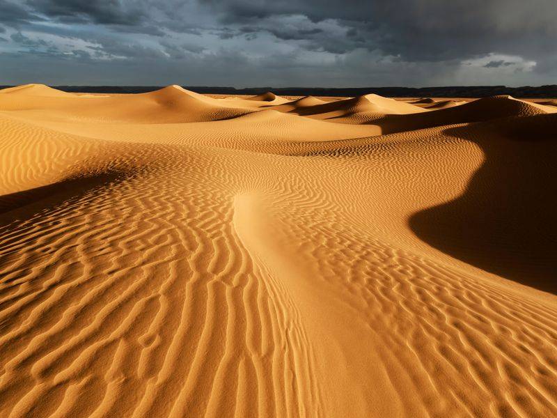 الصين تحول صحارى عربية إلى ربوع خضراء!
