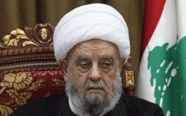 قبلان : للعمل الجاد
لعودة النازحين الى وطنهم