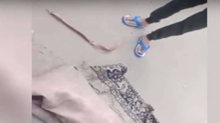 وقائع جديدة حول ذبح أطفال المريوطية الثلاثة في مصر