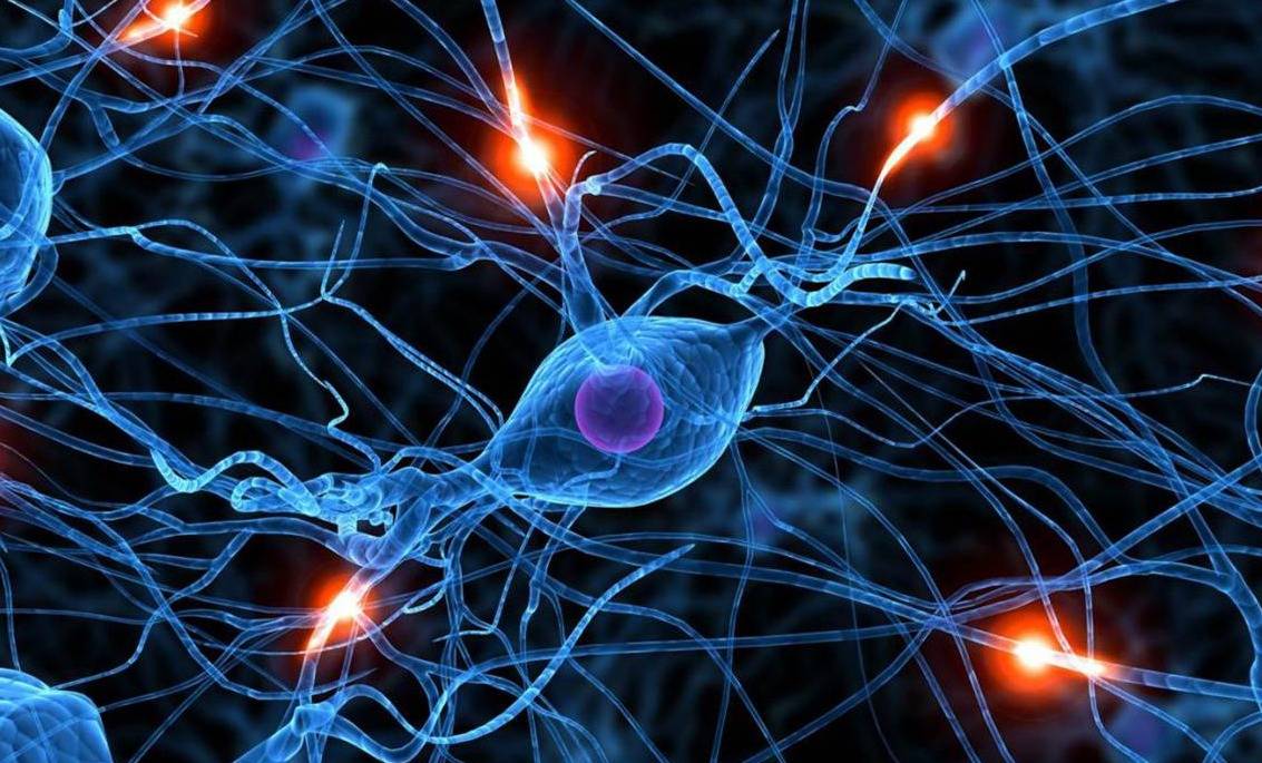 بالفيديو.. ثمرة سحرية تعالج السرطان وتقي من الإصابة به!