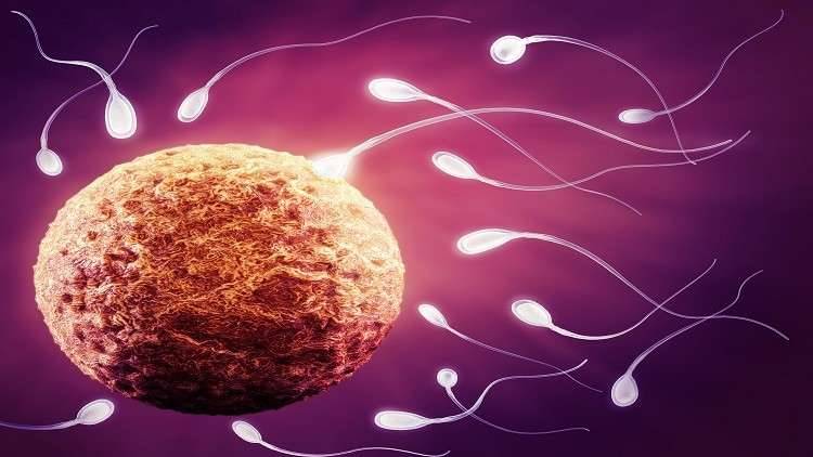 متى تكون الحيوانات المنوية أفضل لدى الرجال؟