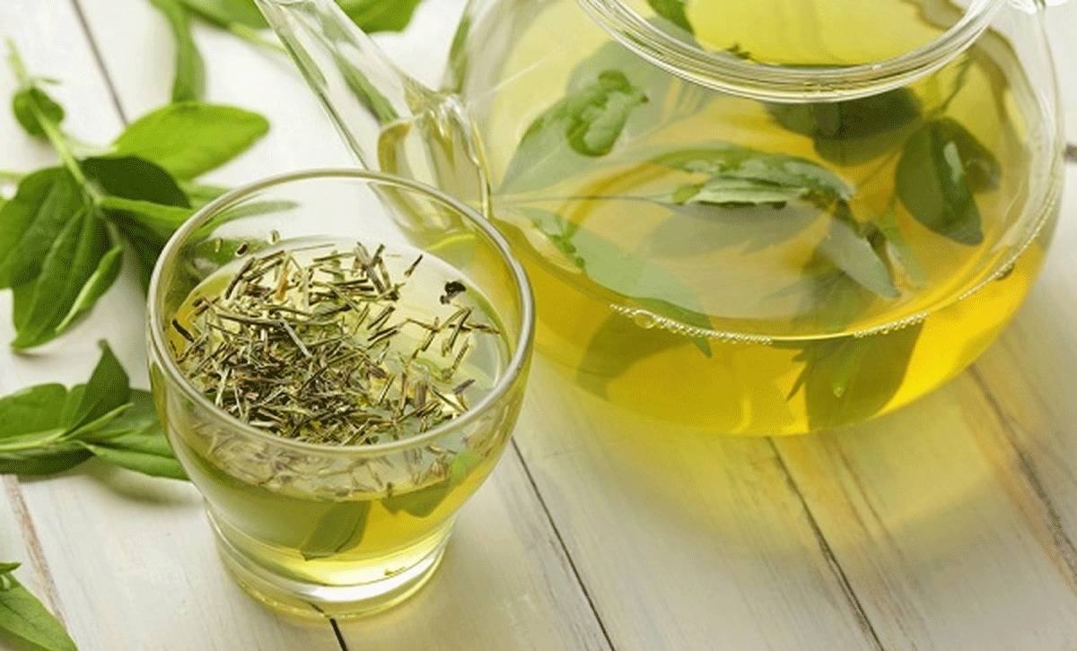 احذروا الافراط في تناول الشاي الأخضر